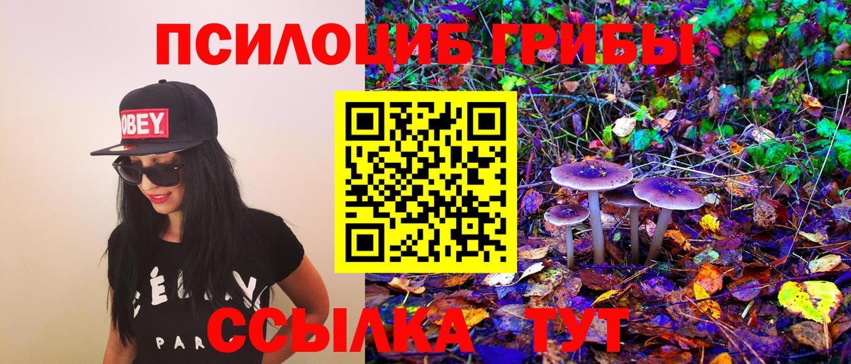 Галлюциногенные грибы GOLDEN TEACHER Кубинка