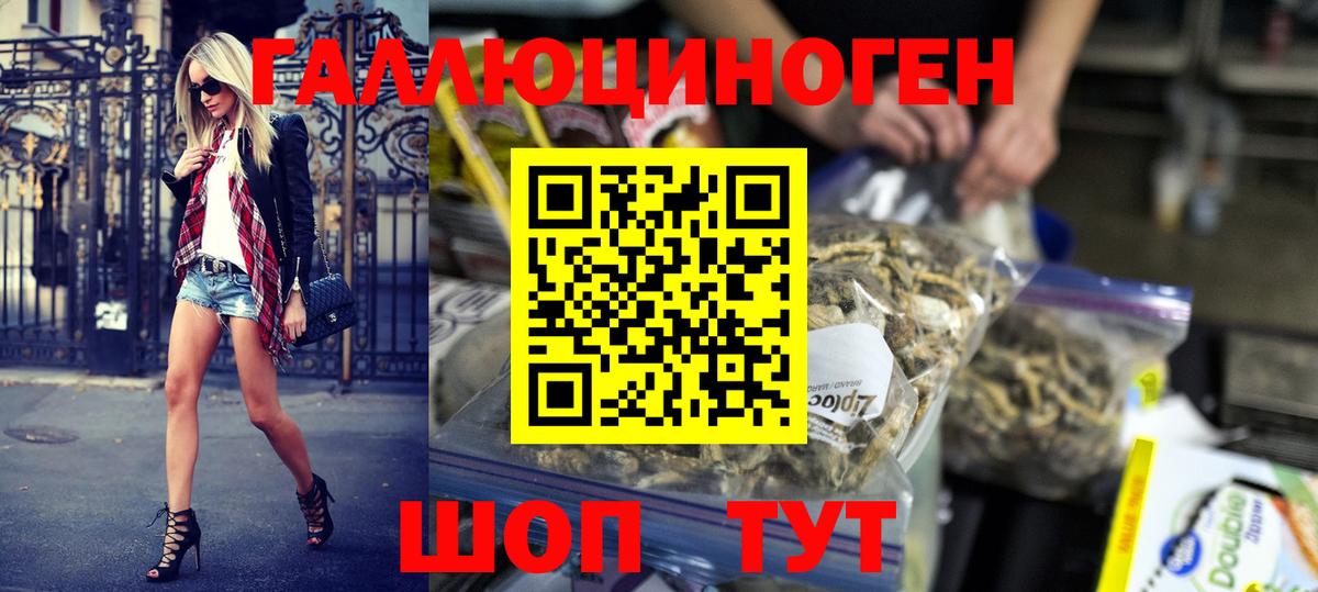 Галлюциногенные грибы Psilocybe  Псилоцибиновые грибы прущие грибы  Вход с VPN  Кубинка 